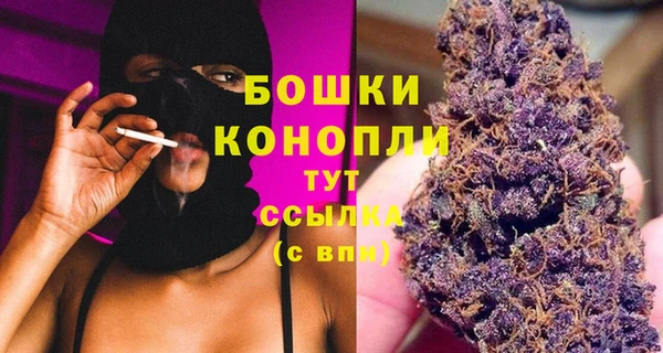 МДПВ Нефтегорск
