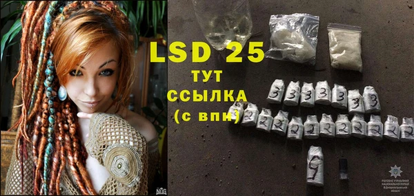 ешки Новодвинск