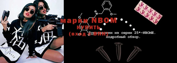 ешки Новодвинск