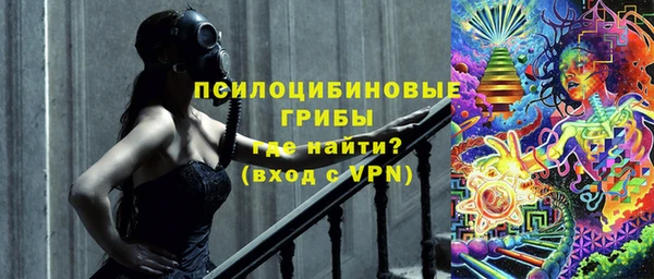 ешки Новодвинск