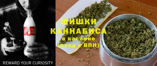 ешки Новодвинск