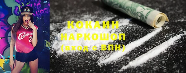 ешки Новодвинск