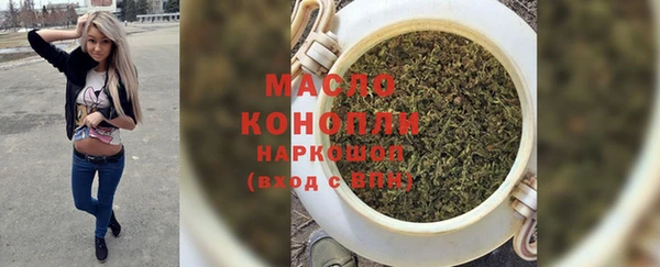 ешки Новодвинск