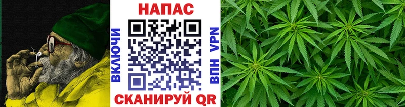Бошки Шишки VHQ  Лермонтов 